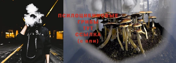 дурь Липки