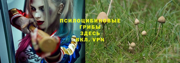 дурь Липки