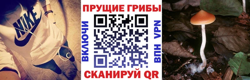 Галлюциногенные грибы GOLDEN TEACHER  Липецк 
